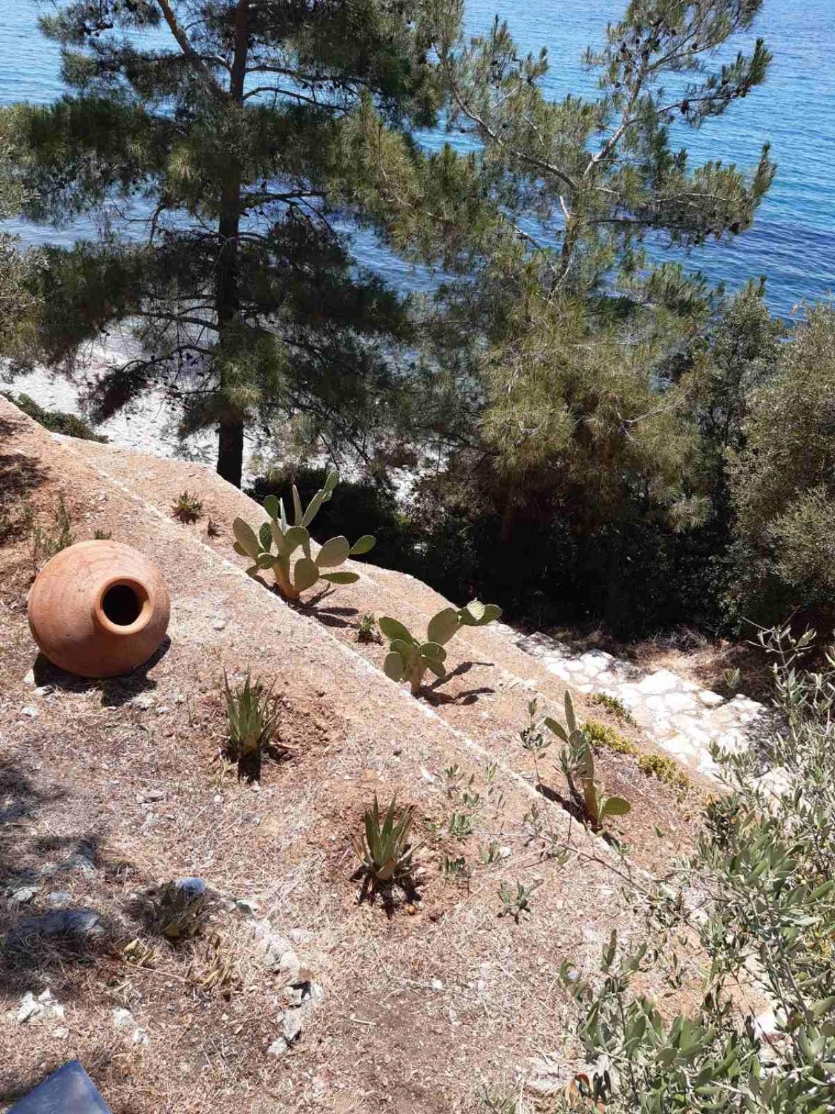 Δωμάτια Κόκκινος Πύργος Plomari ภายนอก รูปภาพ