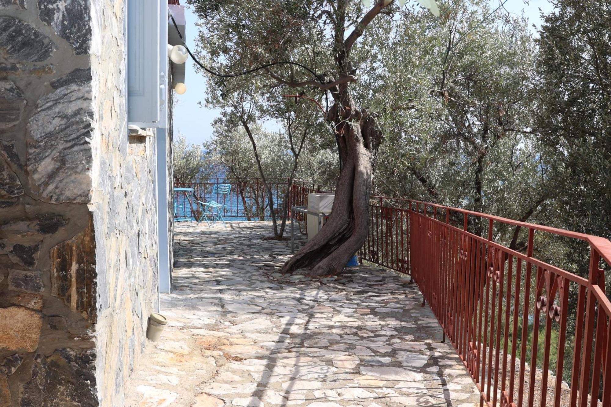 Δωμάτια Κόκκινος Πύργος Plomari ภายนอก รูปภาพ