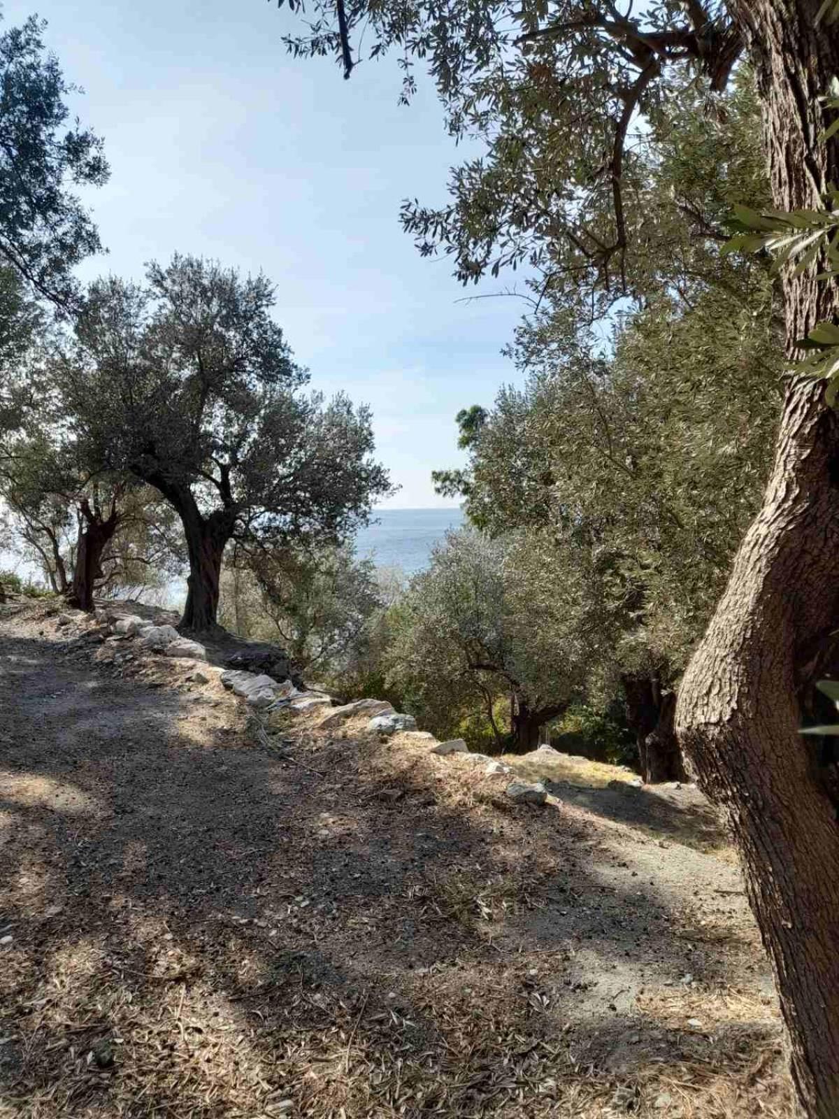 Δωμάτια Κόκκινος Πύργος Plomari ภายนอก รูปภาพ