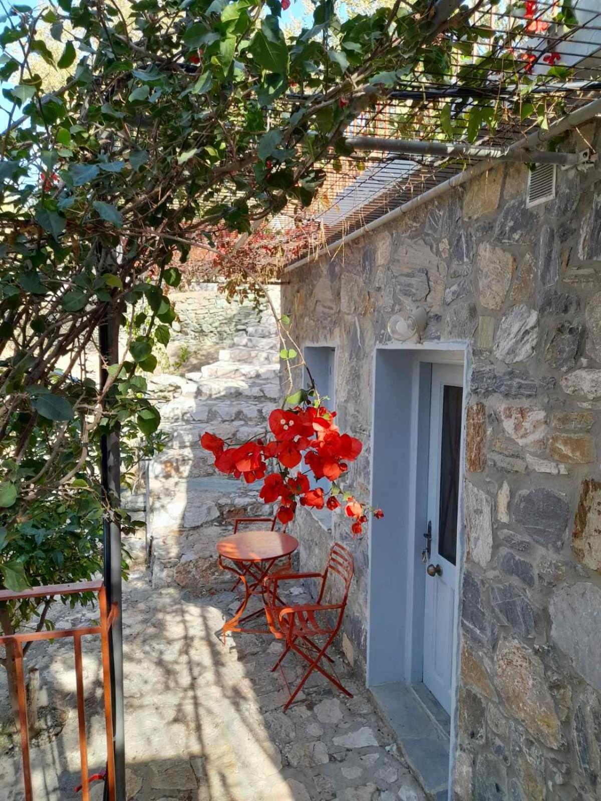 Δωμάτια Κόκκινος Πύργος Plomari ภายนอก รูปภาพ