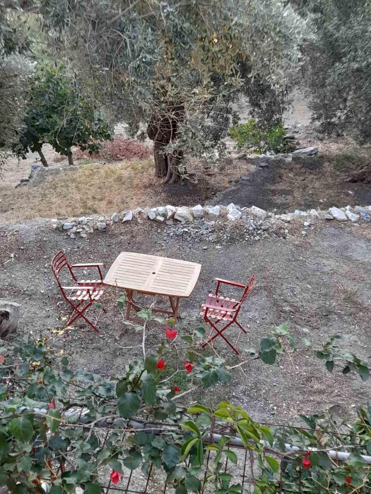Δωμάτια Κόκκινος Πύργος Plomari ภายนอก รูปภาพ